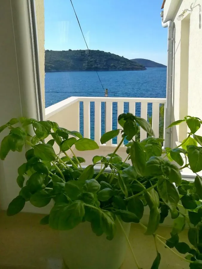 Apartment Ana Marija Savar